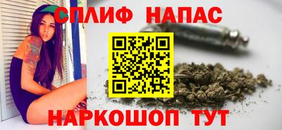 прущие грибы Заводоуковск