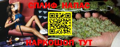 прущие грибы Заводоуковск