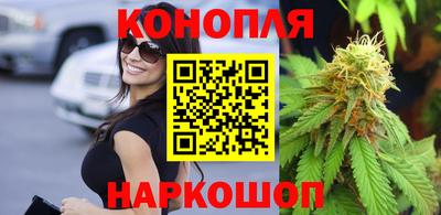 прущие грибы Заводоуковск