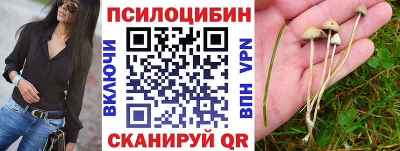 Псилоцибиновые грибы Magic Shrooms ОМГ ОМГ вход Кумертау