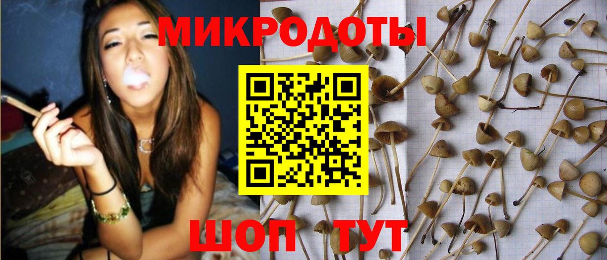Кумертау  Псилоцибиновые грибы Psilocybine cubensis  Вход с VPN 
